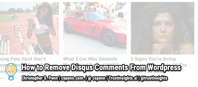 How to Remove Disqus Comments From WordPress