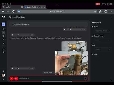 Google Gemini 2.0 Flash Multimodal API Plumbing Demo