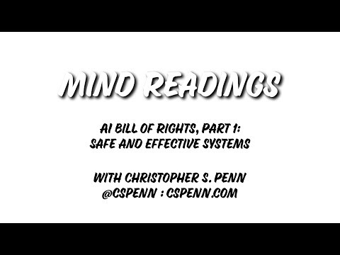 Mind Readings: AI Bill of Rights, Part 1: Safe and Effective Systems