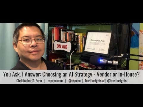 You Ask, I Answer: Choosing an AI Strategy - Vendor or In-House?
