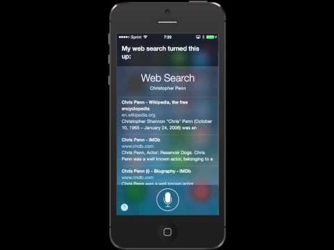 Voice Search Your Business on iOS