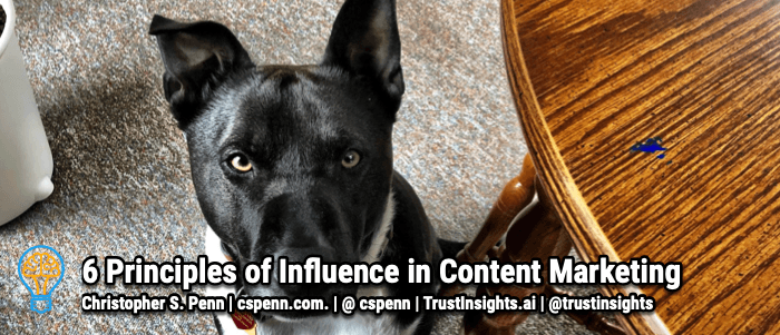 6 Principles of Influence in Content Marketing