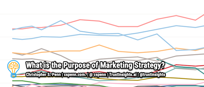 What is the Purpose of Marketing Strategy?