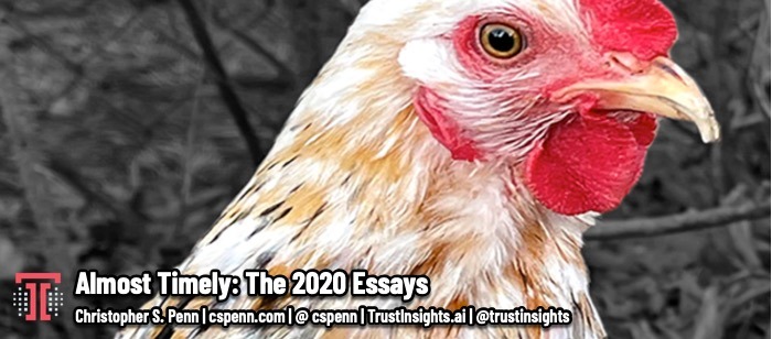 Almost Timely: The 2020 Essays