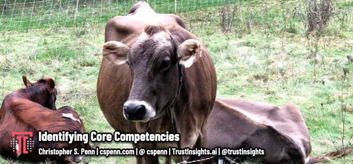 Identifying Core Competencies