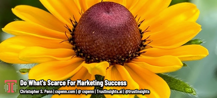 Do What's Scarce For Marketing Success
