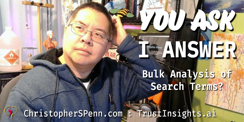 You Ask, I Answer: Bulk Analysis of Search Terms?