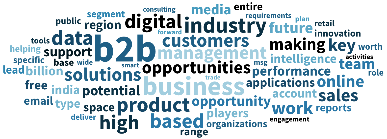 Word Cloud - B2B